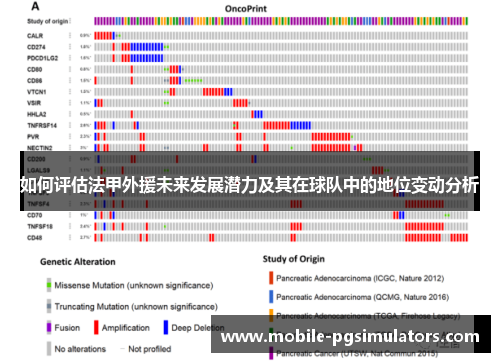 如何评估法甲外援未来发展潜力及其在球队中的地位变动分析